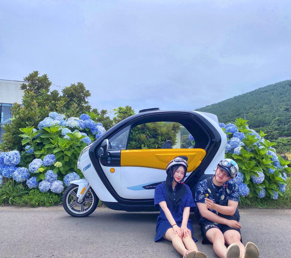 Udo Electric Car Rental Guide 2025