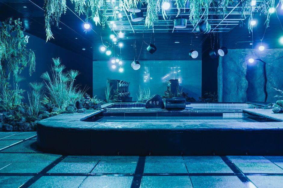 <em>An indoor hot spring pool with hanging lights, lush plants, and tranquil rock decor at Waterworld Jeju’s healing zone — an ideal part of the <strong>Waterworld Jeju discount</strong> experience for families and couples.</em>