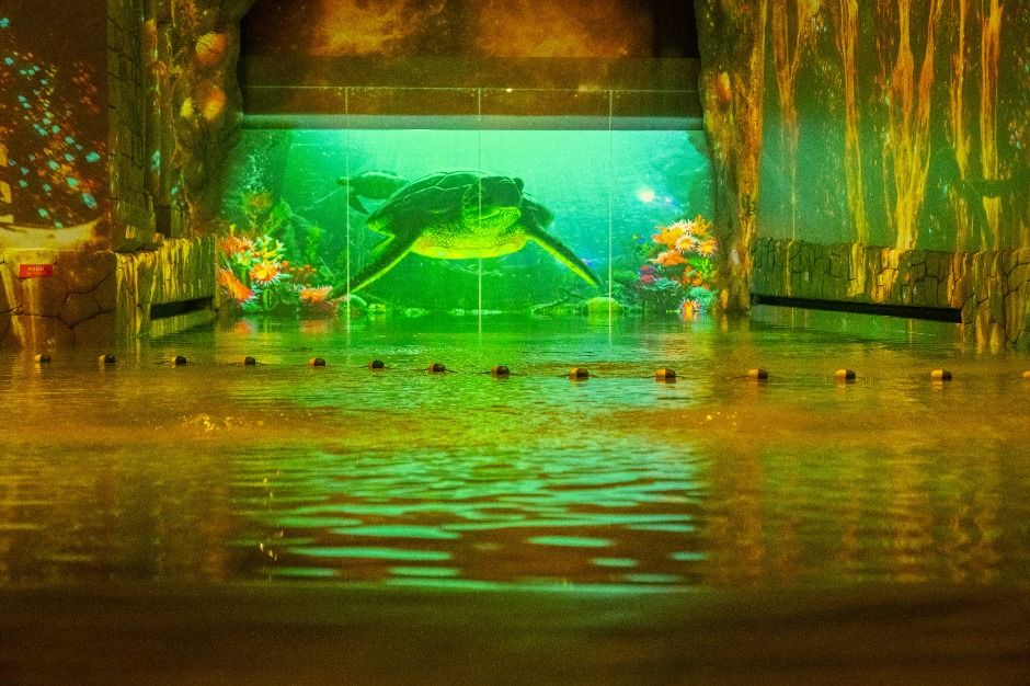 <em>A glowing green sea turtle projection swims through a tropical reef scene at Waterworld Jeju, inviting families to explore the immersive <strong>Waterworld Jeju discount</strong> attraction in a fully indoor setting.</em>