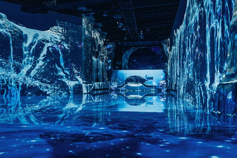 <em>An immersive underwater tunnel filled with digital waterfalls and a giant turtle projection at Waterworld Jeju — part of the unforgettable <strong>Waterworld Jeju discount</strong> experience for families and kids.</em>